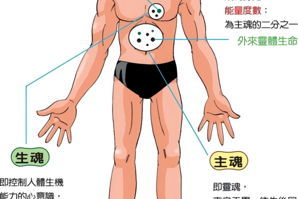 三魂七魄指的是什么？
