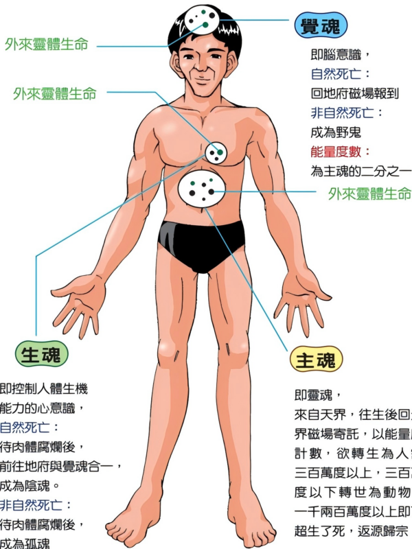 如何认识我们的灵魂精神生命？